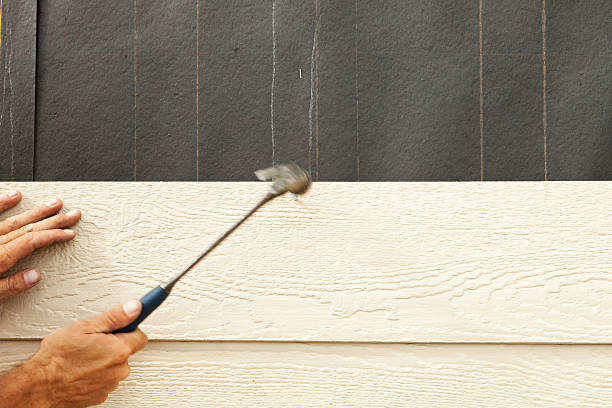 Best Custom Siding Design  in Prague, OK